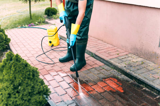 Best Local Pressure Washing Services  in Listoga, CA